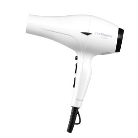 Hair Dryer Hair Stylist Special High Power Mute 2400W (Option: White-220V US)