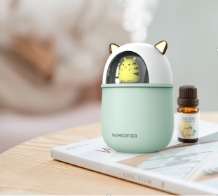 Portable USB Kitty Humidifer (Option: A Green)